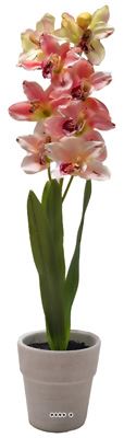 Grande orchidée artificielle en pot H 68 cm  Rose-crème