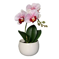 Adorable fausse orchidée coupe céramique H 16 cm Rose-crème