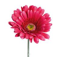 Gerbera artificiel, H 56 cm - D 11 cm superbe Rose fushia