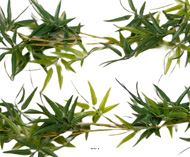 Guirlande de bambou artificiel ramifiée plastique L 190 cm Vert