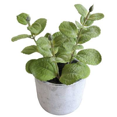 Herbe aromatique artificielle Menthe H 17 cm, D 11cm pot Béton