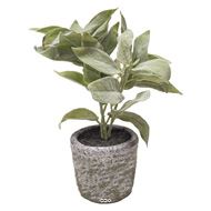Herbe aromatique artificielle Sauge H 26cm