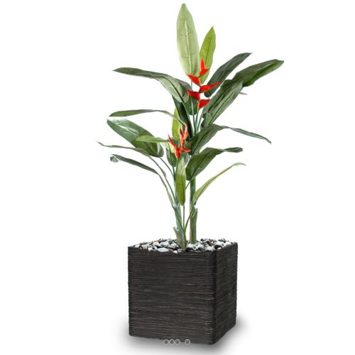 Heliconia artificiel H 180 cm 2 fleurs en pot