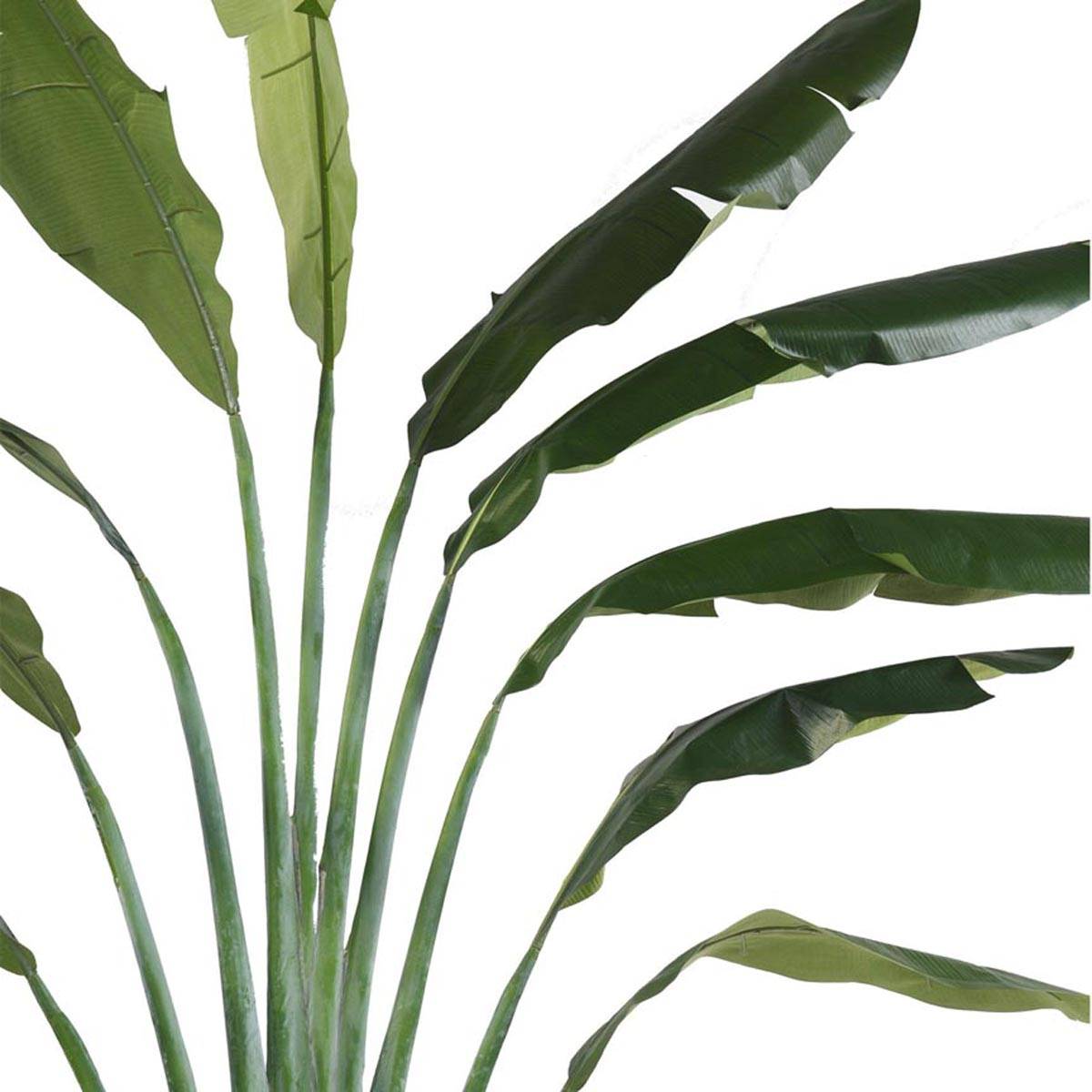 Plante Artificielle Oiseau Du Paradis En Pot - Palmier Bananier Tropical Déco Maison 80cm | Fausse Plante Verte Pour Salon Moderne