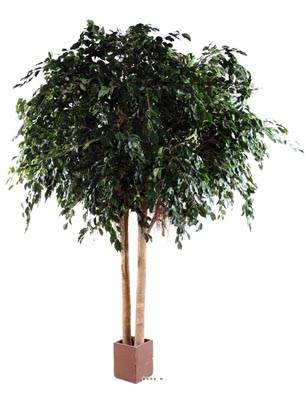 Ficus Exotica 2 troncs artificiel Vert H 350 cm L 250 cm 12216 feuilles en pot