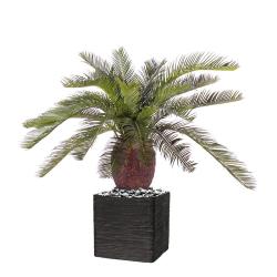 Palmier Artificiel Cycas H 70 cm 22 feuilles en pot