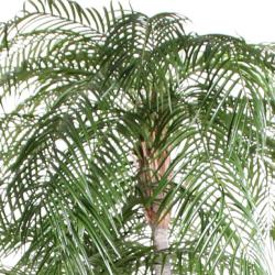 Palmier Phoenix Artificiel H 225 cm 2 troncs 2660 feuilles plastiques Anti-UV en pot