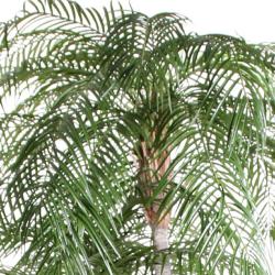 Palmier Phoenix Artificiel H 225 cm 2 troncs 2660 feuilles plastiques Anti-UV en pot