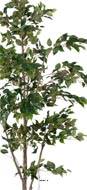 Ficus Benjamina Artificiel tronc PE en pot superbe H 210 cm D 105 cm Vert