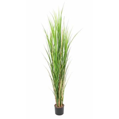 Herbe artificielle en pot très dense et large effet bois H 165 cm Vert