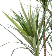 Draceana marginata artificielle en pot H 160 cm Vert-rouge