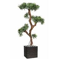 Podocarpus artificiel en pot extérieur H 210 cm L 100 cm