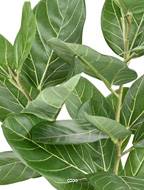 Ficus Elastica Artificiel tronc bois en pot factice H 62 cm D 55 cm