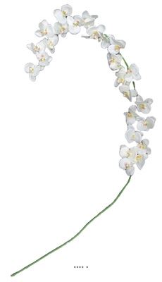 Orchidée en tige retombant H190cm 32 fleurons 5 boutons fermés PE Crème