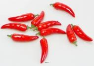 Piment Rouge artificiel petit du mexique en lot de 10  L 6 cm