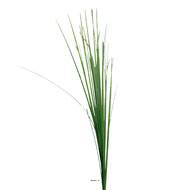 Isolepsis artificiel H 70 cm en tige vert ouvert superbe