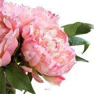 Bouquet de 3 Pivoines epanouies artificielles Corde et feuillage H 26 cm Rose