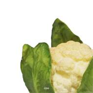 Choux fleur artificiel legume en mousse PU D 15 cm H 12 cm