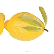 Citron jaune artificiel géant X 2 en Plastique soufflé H 260x150 mm