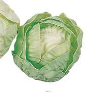 Laitue salade artificielle verte X 2 en Plastique soufflé D 100 mm