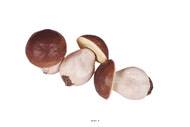 Bolets artificiels en lot de 3 en Plastique soufflé H 100x65 mm