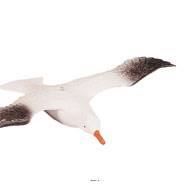 Mouette artificielle à suspendre en Plastique soufflé L 540x300 mm