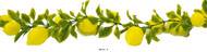 Guirlande de 20 citrons artificiels en Plastique soufflé L 2 m