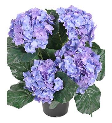 Hortensia en pot artificiel lesté H 40 cm 5 superbes têtes Bleu royal