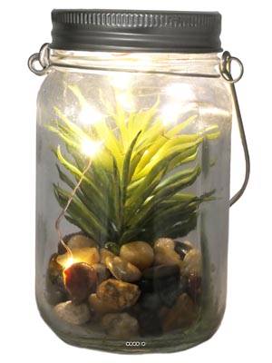 Plante grasse factice cactée en pot de verre et Guirlande Led Type A