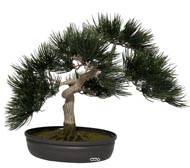 Bonsai artificiel Angel Pinus H 44 cm Finition mousse