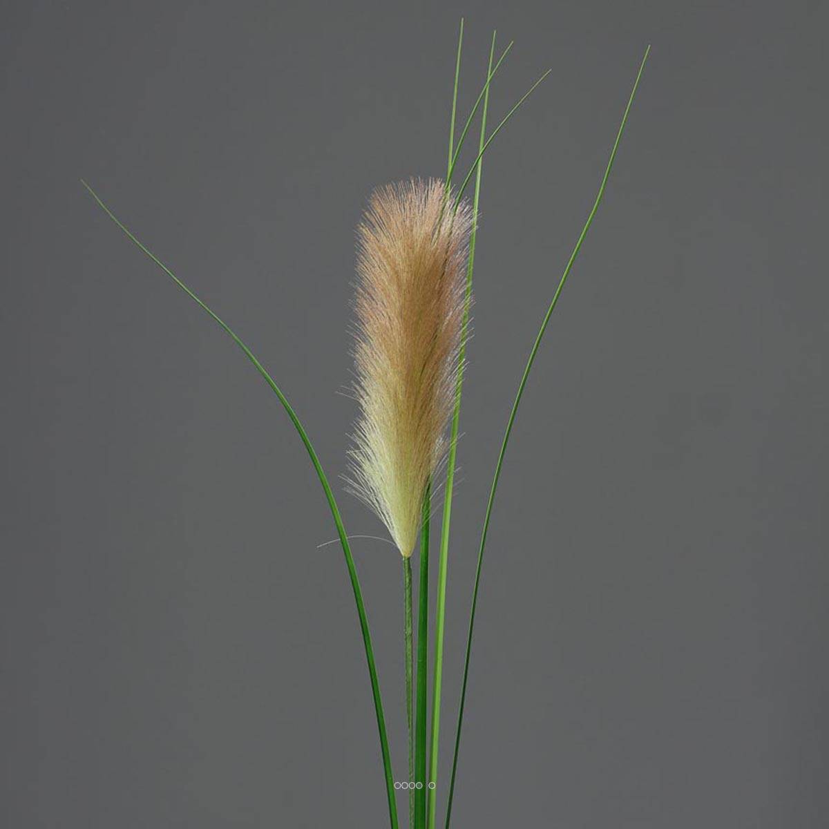 Herbe De Pampa Artificielle Courte Et Petite Plante Duveteuse Pour Décoration D'Intérieur, 43,9