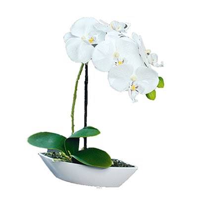 Orchidée factice tissu gaufré pot Résine Blanc ovale H28cm Crème