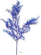 Branche de feuilles de Mirte factice H62cm plastique ext Bleu royal