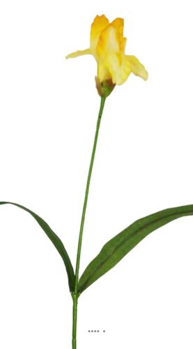 Iris artificiel H 65 cm superbe tête Tissu  Vanille