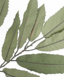 Branche de Châtaigner artificielle 23 feuilles H 70 cm feu retardant