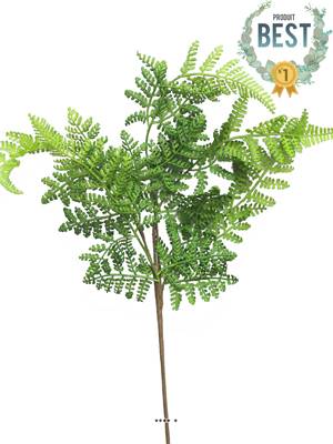 Branche de fougère Adiantum artificielle, H 57 cm - BEST