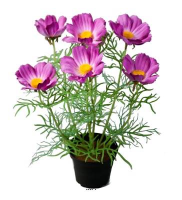 Cosmos fleuries artificielle en pot H 40 cm Pourpre-rose