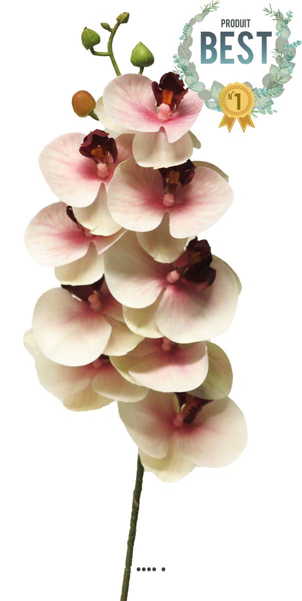 artificielles Tige d’orchidée phalaenopsis artificielle 9 fleurons toucher réel H 77 cm