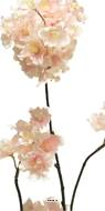 Branche de Cerisier artificielle, H 84 cm Rose - BEST