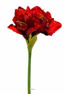 Amaryllis artificiel H 65 cm Superbe Rouge