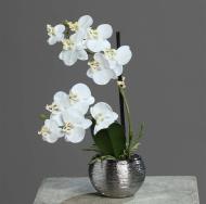 Orchidée phalaenopsis artificielle en pot céramique, H 30 cm Crème