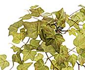 Chute de lierre artificiel L 84cm 88 feuilles vert-rouge