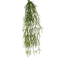 Chute de cactus rhipsalis artificiel L 60 cm l 20 cm