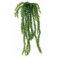 Lycopodium artificiel retombant en pot L 70 cm pour extérieur