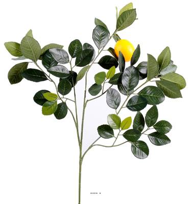 Superbe Branche de citronnier avec citron - 58 Feuilles - H 60 cm L 40 cm