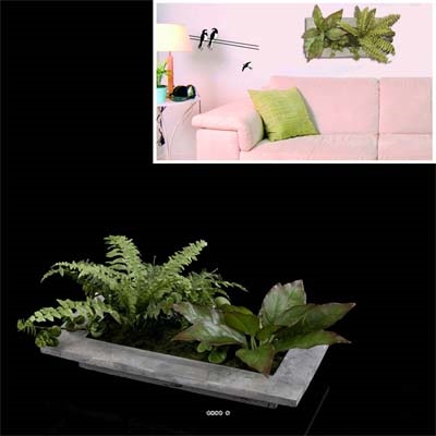 Tableau Cadre vegetal  Folle Nature L 45 x 20 x H 5,50 cm