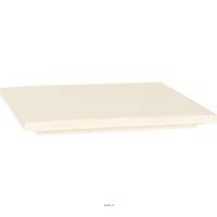 Bac polystone 40 cm x 40 cm H 4 cm Ext. carr crme