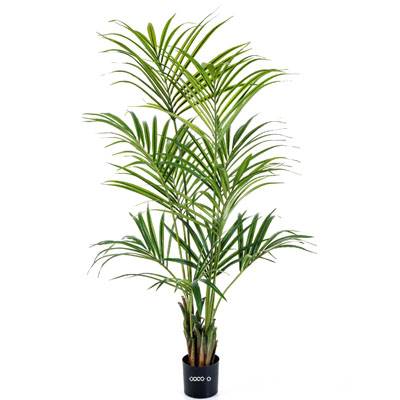 Palmier Kentia artificiel H 200 cm 192 feuilles artificielles