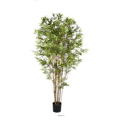 Bambou du Japon Oriental artificiel H 210 cm 4057 feuilles en pot