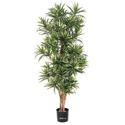 Dracaena reflexa artificiel Vert H 120 cm 1002 feuilles en pot